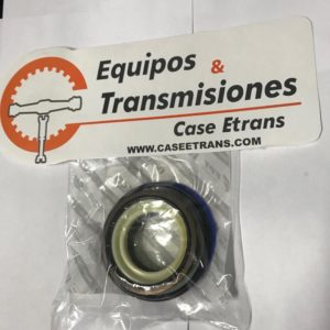 73065112 Juego de sellos - Kit Seal CNH